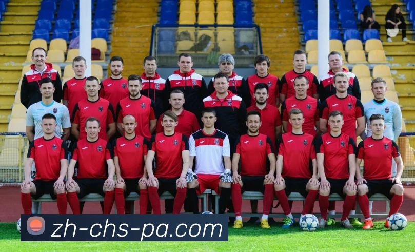 PA真人视讯平台生态图