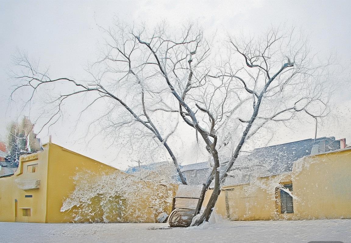 巴西弗拉门戈VS布拉干：激战2:1，回顾精彩对决(图3)