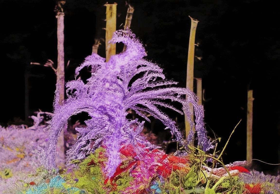 巴西弗拉门戈VS布拉干：激战2:1，回顾精彩对决(图2)